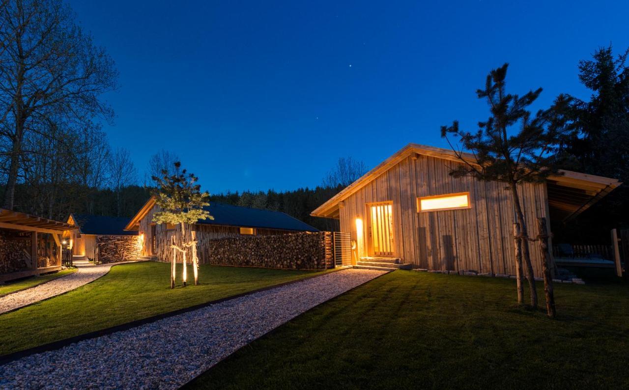 Forstgut - Premium Waldchalets Und Lodge Suiten Реген Екстериор снимка