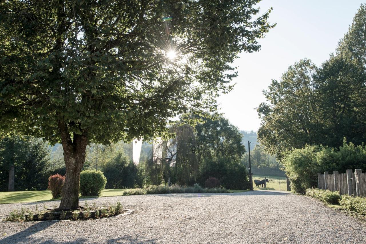Forstgut - Premium Waldchalets Und Lodge Suiten Реген Екстериор снимка