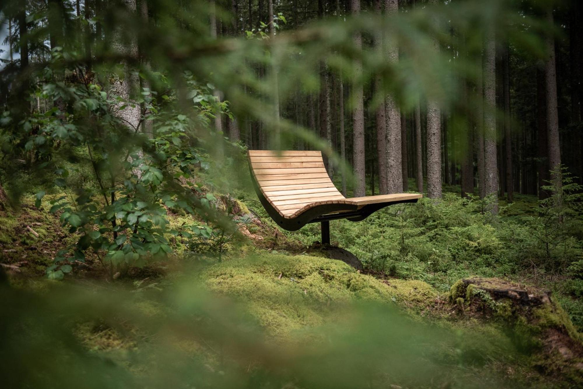 Forstgut - Premium Waldchalets Und Lodge Suiten Реген Екстериор снимка